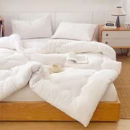 Star Hotel White Winter Quilt, Super Soft And Breathable All-Season Quilt, Extra-Large Bedding, Spring And Autumn Quilt Core