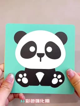 3 to 6 Months Vision Trigger Cards Early Education Cards Training Newborn Babies Visual Stimulation Practice Montessori Toy