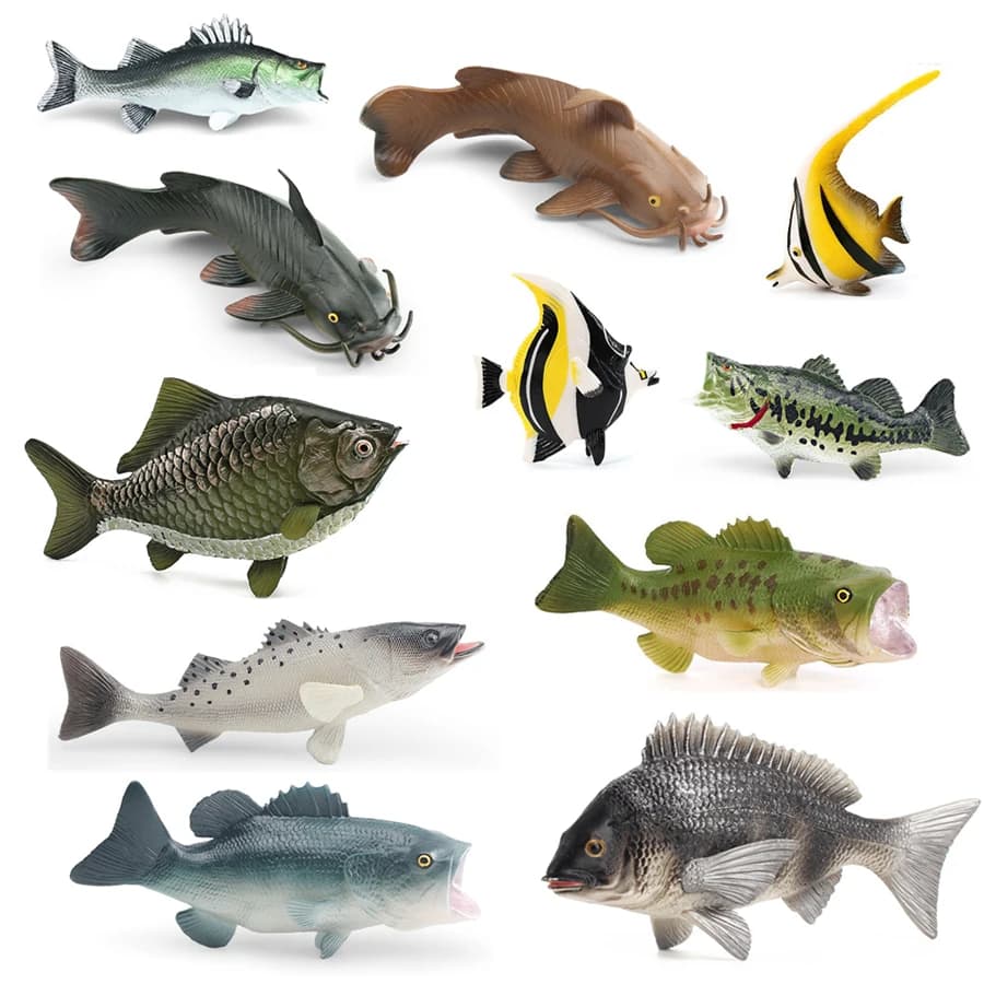  Realistic Catfish Perch Tilapia Angelfish Crucian Carp Freshwater Fish Model Action Figure Decoration Educational Toys For Kid