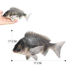  Realistic Catfish Perch Tilapia Angelfish Crucian Carp Freshwater Fish Model Action Figure Decoration Educational Toys For Kid