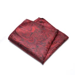 25cm Mens Classic Pocket Square Towel Polyester Paisley Striped Handkerchief Suit Shirt Accessories Wedding Party Navy Red Hanky