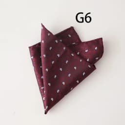 2025 Luxury Floral Silk Pocket Square Mens Business Formal Dress Suit Accessories Red Brown Striped Handkerchief Wedding Cravat