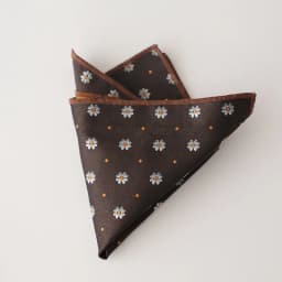 2025 Luxury Floral Silk Pocket Square Mens Business Formal Dress Suit Accessories Red Brown Striped Handkerchief Wedding Cravat