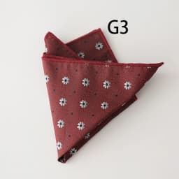 2025 Luxury Floral Silk Pocket Square Mens Business Formal Dress Suit Accessories Red Brown Striped Handkerchief Wedding Cravat
