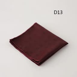 23cm Luxury Men Suit Pocket Square Floral Brown Red Handkerchief Polka Dot Striped Hanky Tuxedo Chest Towel Wedding Party Cravat