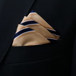 Brand Kerchief Man Dark Blue Striped April Fool's Day Fit Formal Party Pocket Square Handkerchiefs Suit Accessories Men Necktie