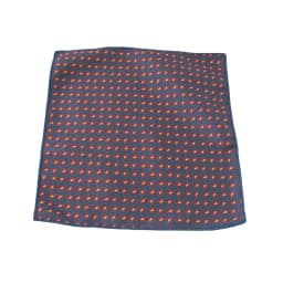 Cartoon Animal Lions Horses Pocket Square Men Novelty Polyester Striped Navy Handkercheif Formal Business Men's Suit Shirt Hanky