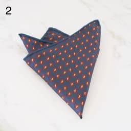 Cartoon Animal Lions Horses Pocket Square Men Novelty Polyester Striped Navy Handkercheif Formal Business Men's Suit Shirt Hanky