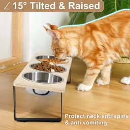 Elevated Cat Bowls with 3 Stainless Steel Bowls 15° Tilted Anti-Vomiting Raised Cat Food Bowl for Small Cats Puppies Accessories