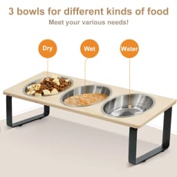 Elevated Cat Bowls with 3 Stainless Steel Bowls 15° Tilted Anti-Vomiting Raised Cat Food Bowl for Small Cats Puppies Accessories