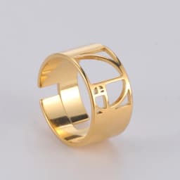 Dawapara Fibonacci Spiral Golden Ratio Ring Sacred Geometry Math Jewelry Stainless Steel Adjustable Rings