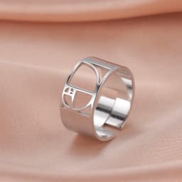 Dawapara Fibonacci Spiral Golden Ratio Ring Sacred Geometry Math Jewelry Stainless Steel Adjustable Rings