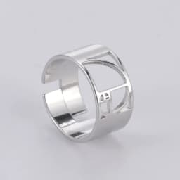 Dawapara Fibonacci Spiral Golden Ratio Ring Sacred Geometry Math Jewelry Stainless Steel Adjustable Rings