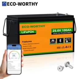 ECO-WORTHY 24V 100Ah Metal Case LiFePO4 Lithium Battery with BT 5.1 with Low-Tem Protection, Max. 2560W for Off-Grid