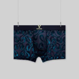 Luxury Men's Sheer Mesh Boxer Briefs Sexy Velvet Flocked Print Underwear Wide Elastic Waistband Breathable 3D Contour Pouch No R