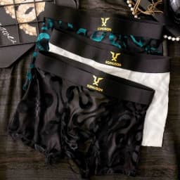 Luxury Men's Sheer Mesh Boxer Briefs Sexy Velvet Flocked Print Underwear Wide Elastic Waistband Breathable 3D Contour Pouch No R