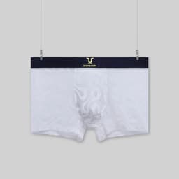 Luxury Men's Sheer Mesh Boxer Briefs Sexy Velvet Flocked Print Underwear Wide Elastic Waistband Breathable 3D Contour Pouch No R