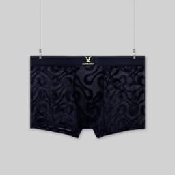 Luxury Men's Sheer Mesh Boxer Briefs Sexy Velvet Flocked Print Underwear Wide Elastic Waistband Breathable 3D Contour Pouch No R