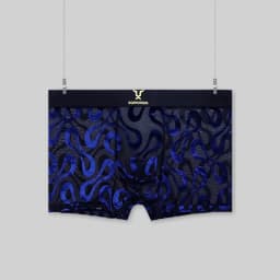 Luxury Men's Sheer Mesh Boxer Briefs Sexy Velvet Flocked Print Underwear Wide Elastic Waistband Breathable 3D Contour Pouch No R