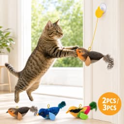 Interactive Hanging Cat Toy Bird Teaser with Elastic Rope Sound Catnip Indoor Wall-Mounted Toy for Cats Kittens Chasing Play