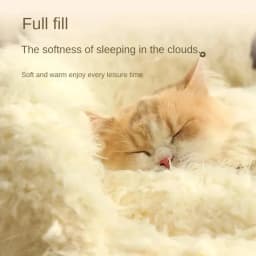 Bed Cats for Winter Warm Houses and Habitats House Accessories Kitten Cushions Beds Dog Puppy Accessory Pet Supplies Mat Goods