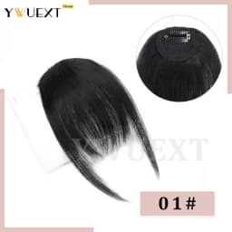 Clip In Human Hair Bangs Straight Hair Piece Machine Remy French Bangs for Women Easy to Wear and Remove Hairpiece Thin Hair