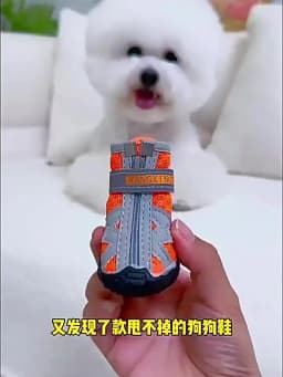 Mesh Pet Dog Shoes Reflective Dog Boots Breathable Puppy Shoes Anti-slip Spring Summer Dog Booties