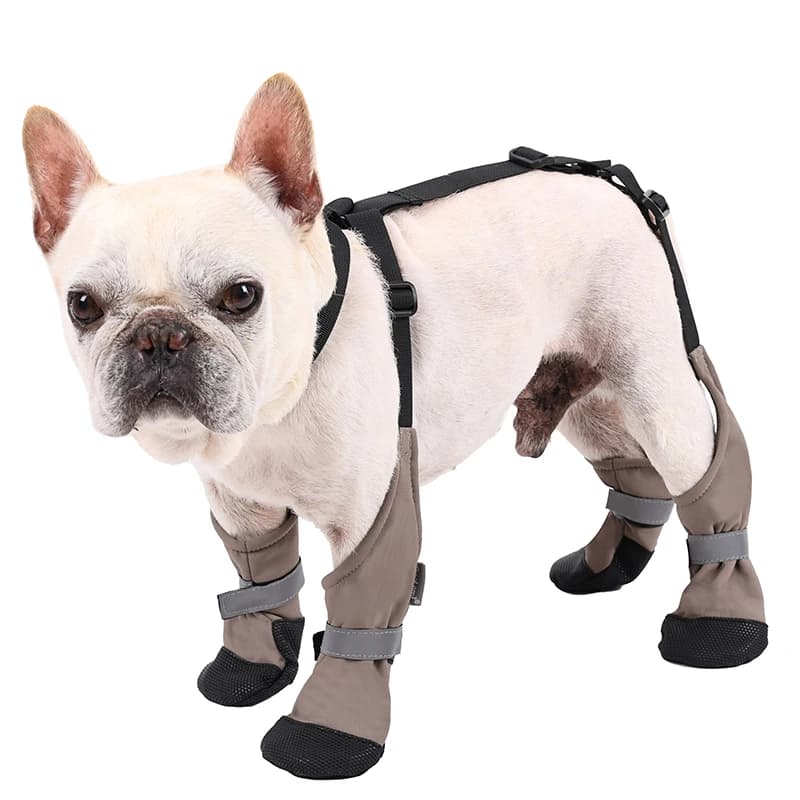 Anti-Dirty Dog Shoes Warm Back Strap Anti-Detachment Non-Slip Outdoor Activities Waterproof Rain Snow Pet Boots Pet Supplies