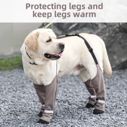 Anti-Dirty Dog Shoes Warm Back Strap Anti-Detachment Non-Slip Outdoor Activities Waterproof Rain Snow Pet Boots Pet Supplies
