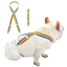 Rainbow Stripe Dog Diaper Suspenders for Pet Clothes Diapers Pants Skirt Belly Bands Small Medium Large Dogs Pet Accessories