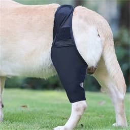 R1WA Dog Elbow Brace Wrap for Injured Limb Promotes Comfort Leg Support Wrap Pet Leg Wrap Joint Protector Dog Sleeves 2025 New