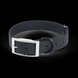 Universal Waterproof Dog Collars With Zinc Alloy Buckle PVC Rubber for Medium Small Dog Collar for Cats