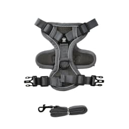 Pet Dog Leash For Small Medium Dogs Cats Hiking Reflective Puppy Adjustable Solid Harness Vest Set Chihuahua Bulldog Supplies