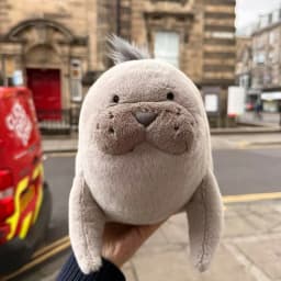 35cm Kawaii Brown Sea Lion Plush Toy Stuffed Aquatic Animal Cosplay Doll Companion Man Gift