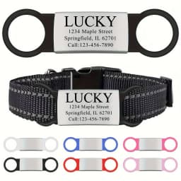 Customized Stainless Steel Engraved Nameplate For Pet Identification Cat And Dog ID Tag Installed On Collar With Name And Phone