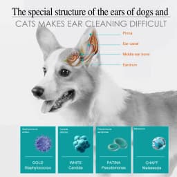 Pet Ear Drops Universal Anti Mites Yeast Ear Wax Remove Relieve Itching Ultra Soft Tip Deodorizing Dogs Cats Ear Care Solution