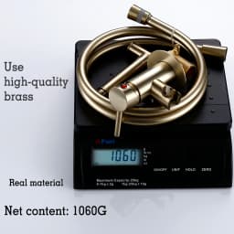 Bagnolux Brushed Gold Toilet Held Bidet Sprayer Kit with Hose and Holder Wall Mounted Hot and Cold Mixed Type Bathroom Faucet