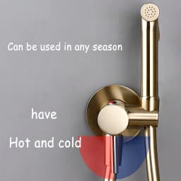 Bagnolux Brushed Gold Toilet Held Bidet Sprayer Kit with Hose and Holder Wall Mounted Hot and Cold Mixed Type Bathroom Faucet