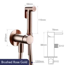 Bagnolux Brushed Gold Toilet Held Bidet Sprayer Kit with Hose and Holder Wall Mounted Hot and Cold Mixed Type Bathroom Faucet