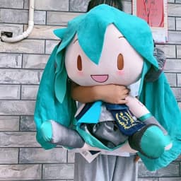 Hatsune Miku Fufu Doll Super Large 50cm Plush Doll High-Quality Spot Pillow Decorations Gift Magic Future Doll Pillow