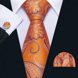 Designer Tie for Mens Gold Silver Paisley Necktie Pocket Square Cufflinks Set Wedding Gift Elegant Corbatas 6235