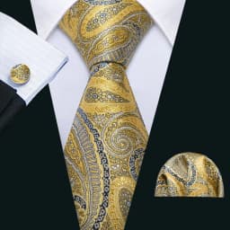 Designer Tie for Mens Gold Silver Paisley Necktie Pocket Square Cufflinks Set Wedding Gift Elegant Corbatas 6235