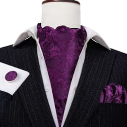 Barry.Wang Jacqaurd Silk Men Ascot Cravat Tie Floral Paisley For Male with Hanky Cufflinks 60 Colors Wedding Party Events Gift
