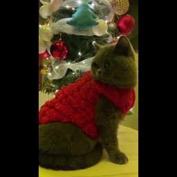Pet Dog Clothes Autumn Winter Warm Cozy Fleece Puppy Sweater for Small Medium Dogs Cats Pug French Bulldog Chihuahua Clothing