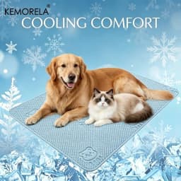 Summer New Thick Pet Cooling Pad with Cute Bear Pattern Washable Ice-Like Smooth Pet Mattress Outdoor Indoor Use For Dog And Cat