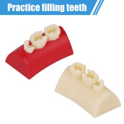 Dental Inlay Exercise Model Block Composite Resin Filling Practice Models Dentistry Oral Teeth Teaching Typodont Study