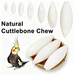 Natural Cuttlebone Chew Toy 1pc for Parrots Budgies Hamsters Small Pets Teeth Grinding Calcium Supplement Bird Supplies Healthy