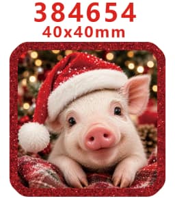 10 Pcs Christmas Themed Red Glitter Acrylic Charms Planar Resin Flatback For DIY Hairbow Accessory Decoration GT-R-383768