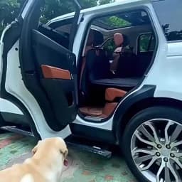 Dog Seat Cover Car Seat Cover For Pets,Waterproof Pet Seat Cover Hammock Scratch Proof Nonslip Durable Soft Pet Back Seat Covers