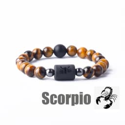 Zodiac Sign Bracelet Homme 12 Constellation Bangles Men Gemini Virgo Leo Libra Bracelet Women Friendship Gift Bracelet on Hand